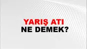 Yarış Atı