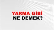 Yarma Gibi