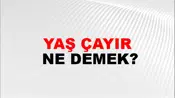 Yaş Çayır