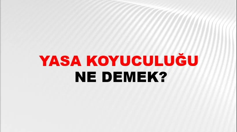 Yasa Koyuculuğu Yasa Koyuculuğu
