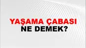Yaşama Çabası
