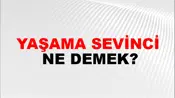 Yaşama Sevinci