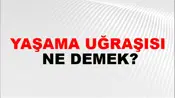 Yaşama Uğraşısı