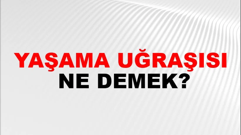 Yaşama Uğraşısı Yaşama Uğraşısı
