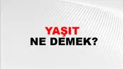 Yaşıt
