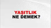 Yaşıtlık