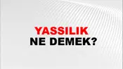 Yassılık