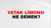 Yatak Limonu