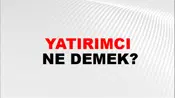 Yatırımcı