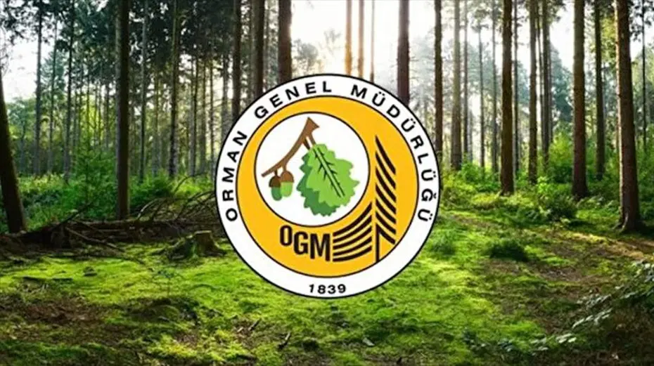 Resmi Gazete'de yayımlandı. OGM müfettiş yardımcısı alacak