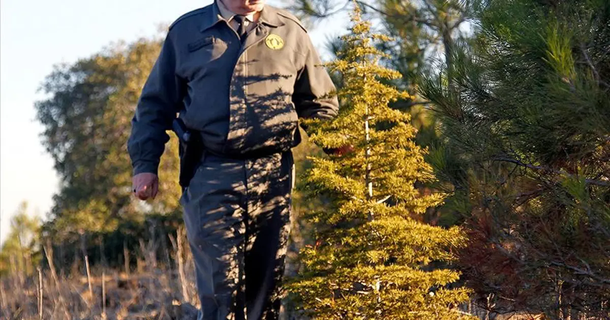 OGM personel alımı başvuruları 2025: OGM 496 sözleşmeli personel alımı başvurusu nasıl yapılır, şartlar neler?