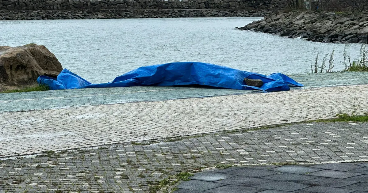 Ordu'da sahile İHA vurdu iddiası. Cisim ekiplerce inceleniyor