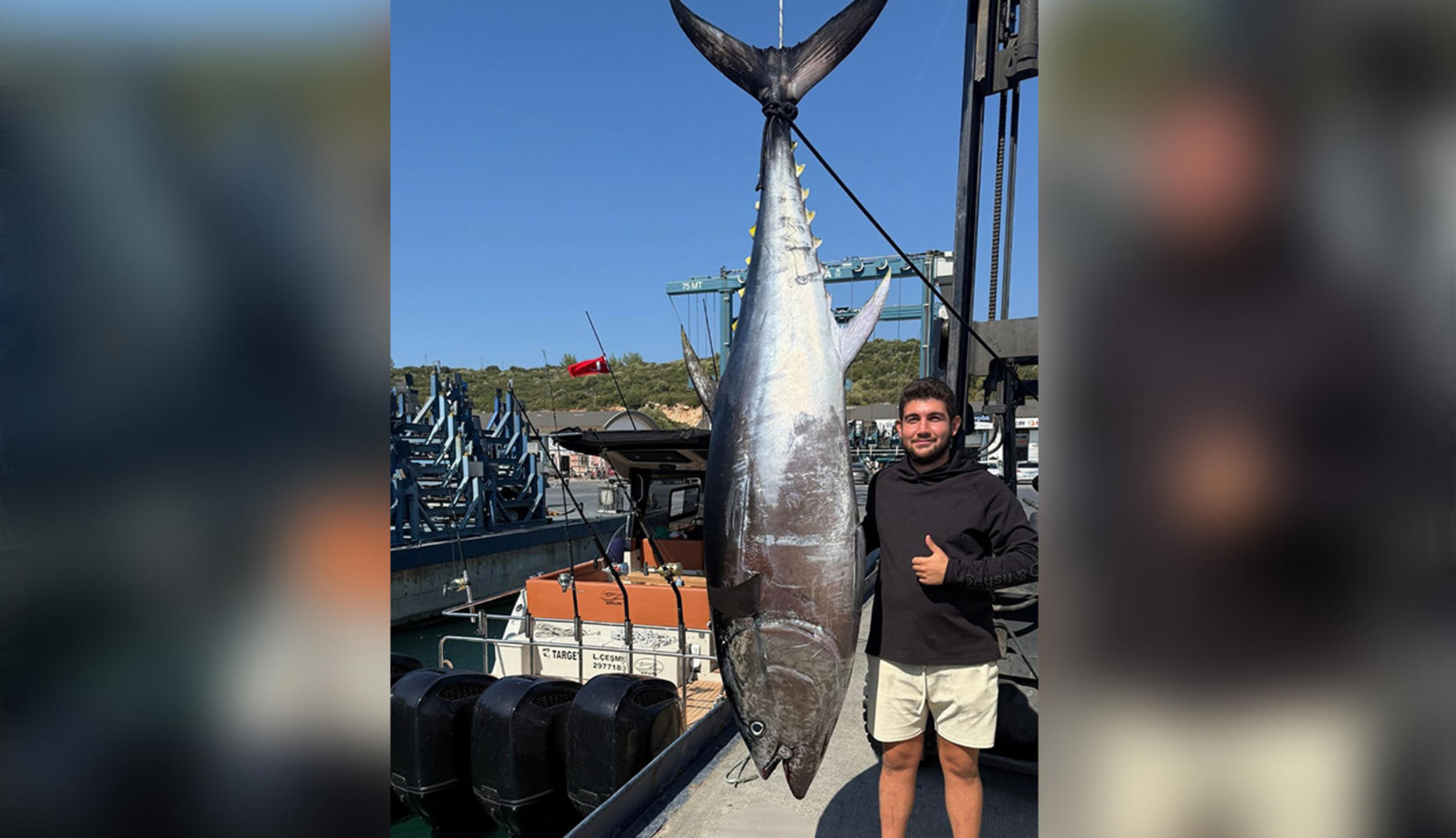 Tam 260 kilo, 2,8 metre: Yakalanan dev orkinos tekneye sığmadı