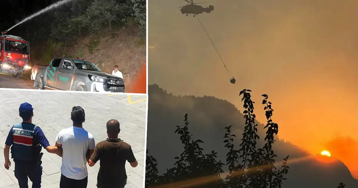 Ülke Genelindeki Orman Yangınlarına Soruşturma Yağmuru: 15 Tutuklama