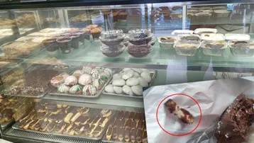 Pastaneden kurabiye aldı, içinden çıkanı görünce şoka uğradı