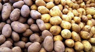 5 liradan alıp 6 kat fazlasına satıyorlar