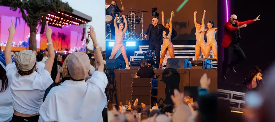 TikTok fikri gerçek oldu. Pitbull ve 22 bin kopyası Guinness Rekorlar Kitabı'nda 4