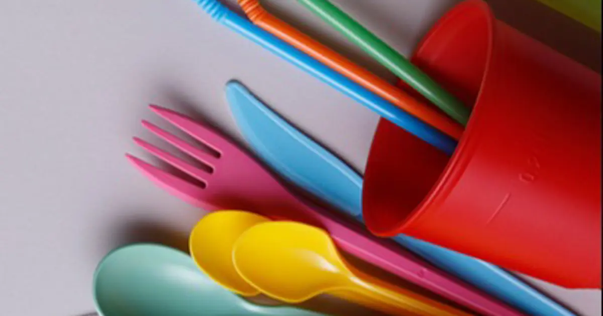 Tek kullanımlık plastikler yasaklanıyor. Alternatifler neler?