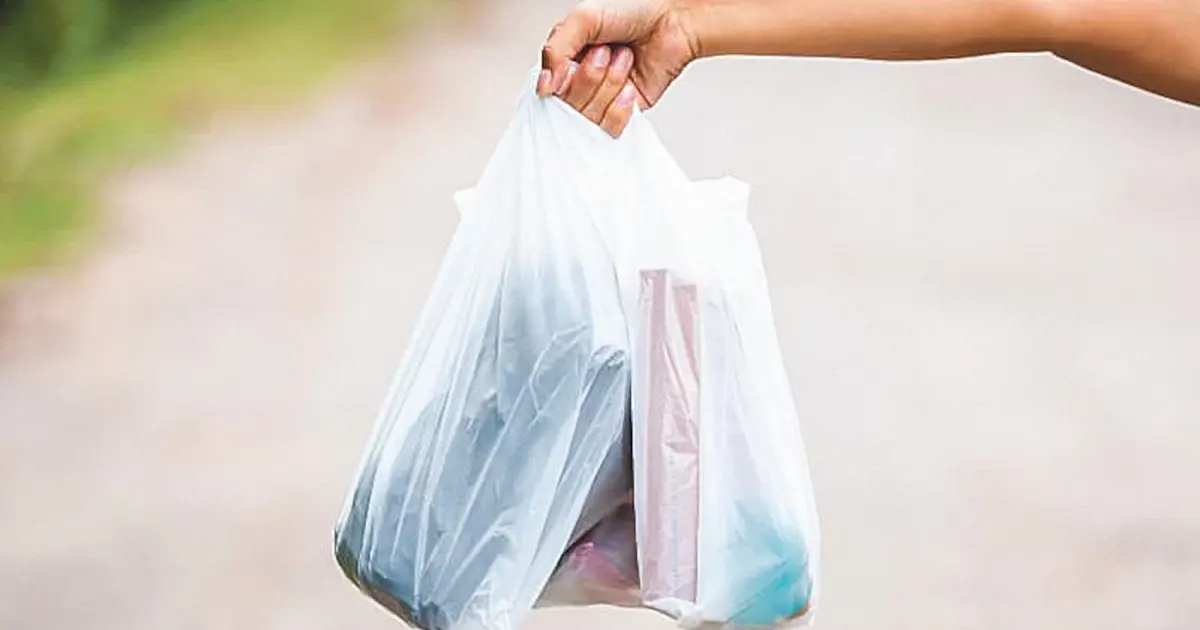 Plastik poşet fiyatı yeni yılda 1 lira olacak