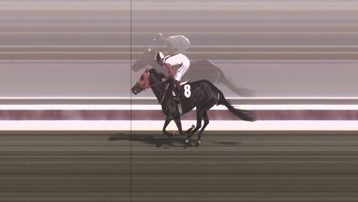 Mersin'de kavurma yapılan atın kimliği belli oldu. İngiliz atının 3 birinciliği var