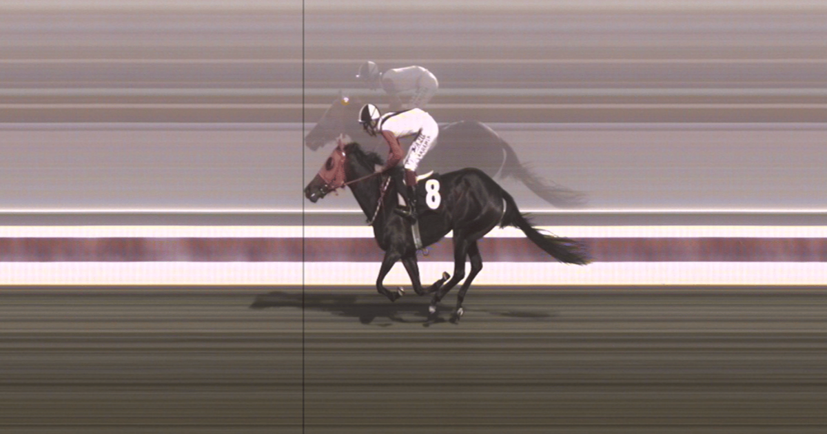 Mersin'de kavurma yapılan atın kimliği belli oldu. İngiliz atının 3 birinciliği var