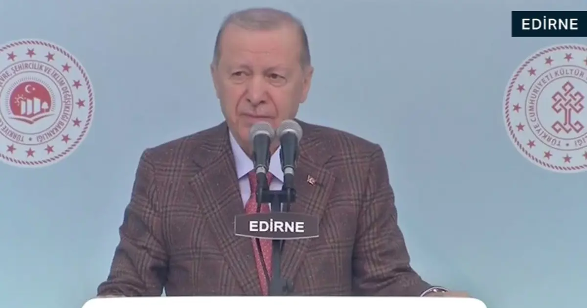 Cumhurbaşkanı Erdoğan: Siz milletvekili misiniz, yoksa militan mı?