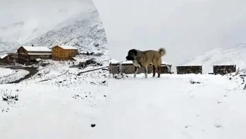 Kış erken geldi. 3 bin 100 metre yükseklikteki yayla beyaza büründü