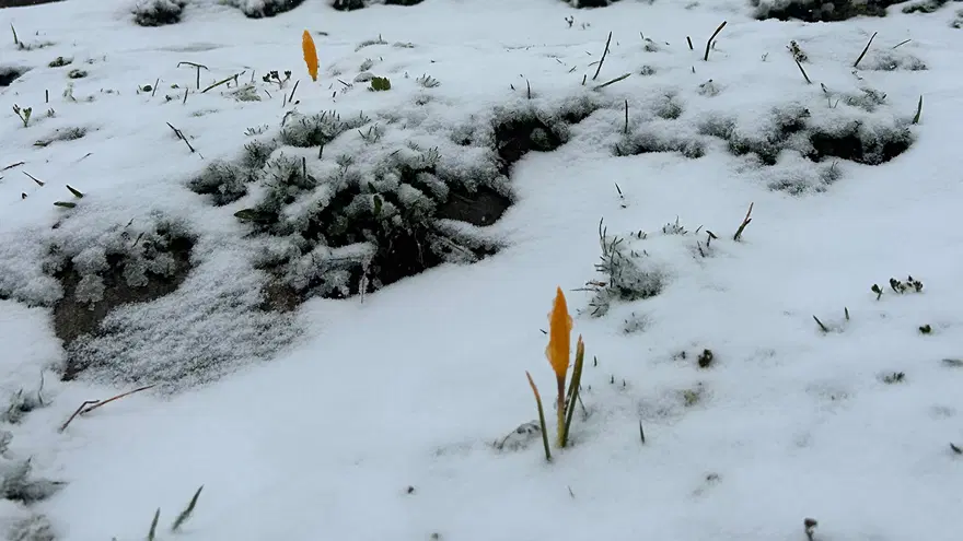 Eylül başında kar yağışı sürprizi. Yeni güne bembeyaz uyandılar 2