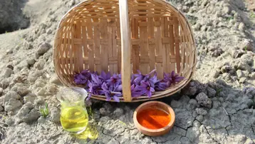 Kilogramı 600 bin TL'yi buluyor... Denemek için ekmişti, dünyanın en pahalı bitkisini yetiştirdi