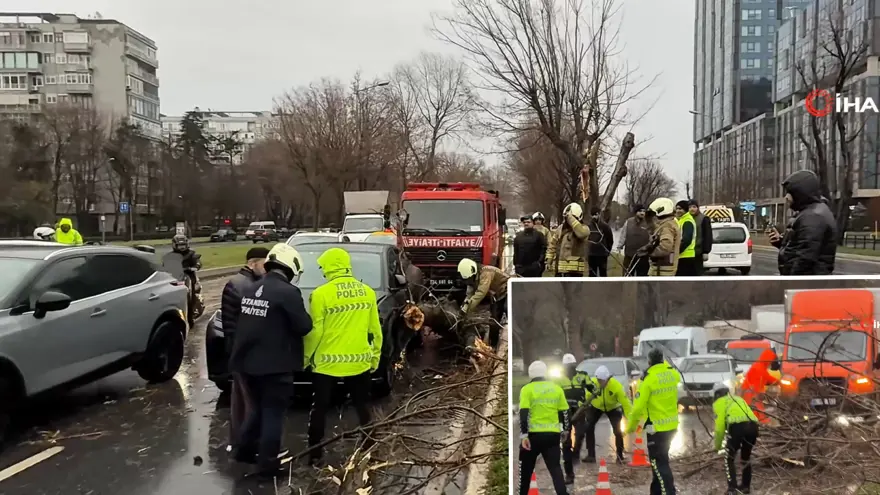AĞAÇ DEVRİLDİ, SAHİL YOLU KAPANDI 1