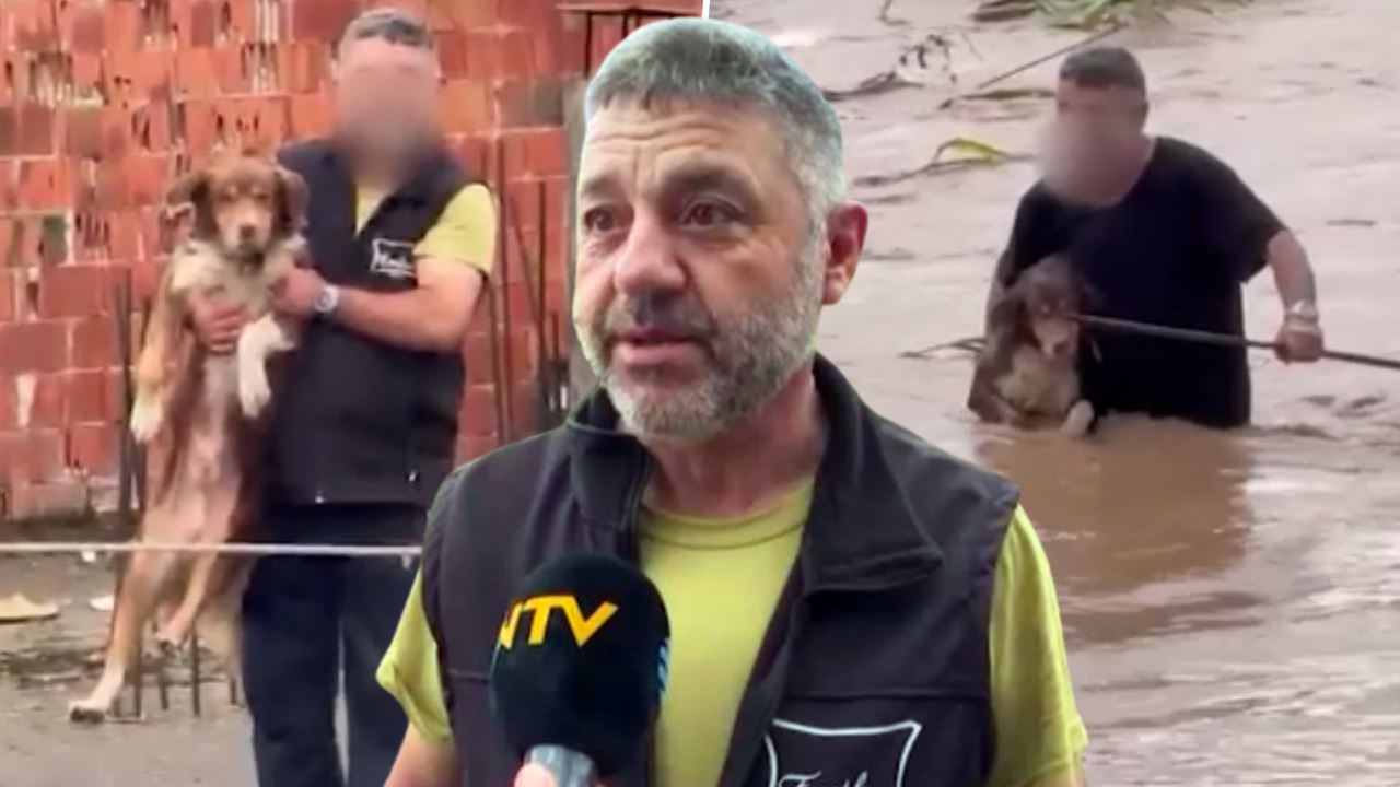 Canını hiçe saydı, sele kapılan iki köpeği kurtardı
