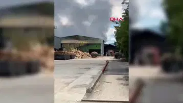 Sakarya'da palet fabrikasında yangın