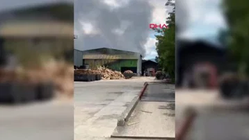 Sakarya'da palet fabrikasında yangın