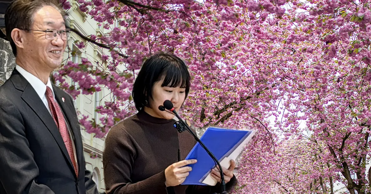 Kırşehir'de sakura rüzgarı. Japon büyükelçi de festivalde