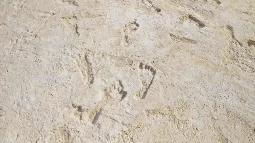AYAK İZLERİNİN YAŞI TARTIŞMA YARATTI 3