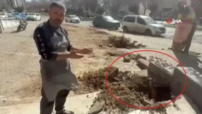 Fırtına dev ağaçları kökünden söktü: O anlar kamerada