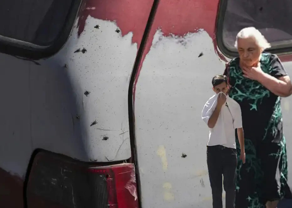 İzmir'de karasinek istilası... Nedeni belli oldu