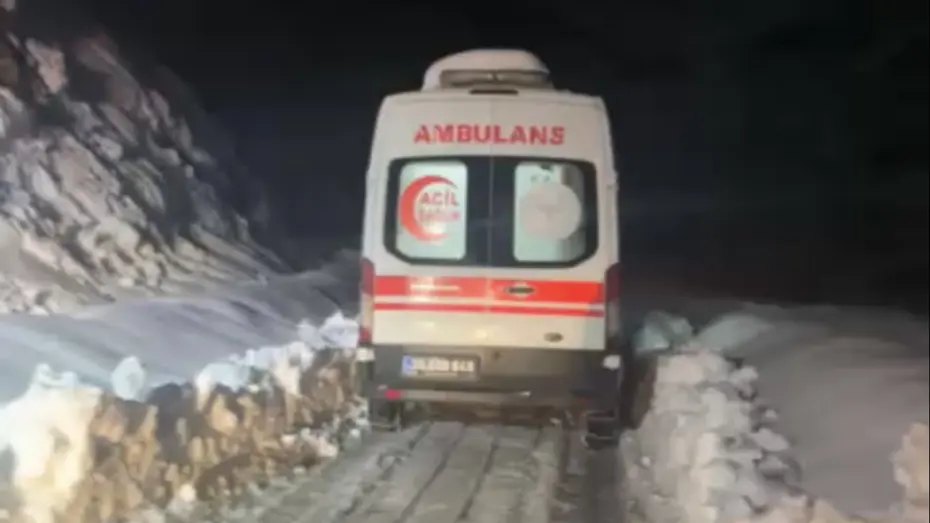 Hakkari'de sobadan sızan gaz aileyi hastanelik etti