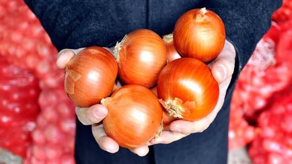Yağışlar soğana yaramadı. Tarlada 12 markette 40 lira