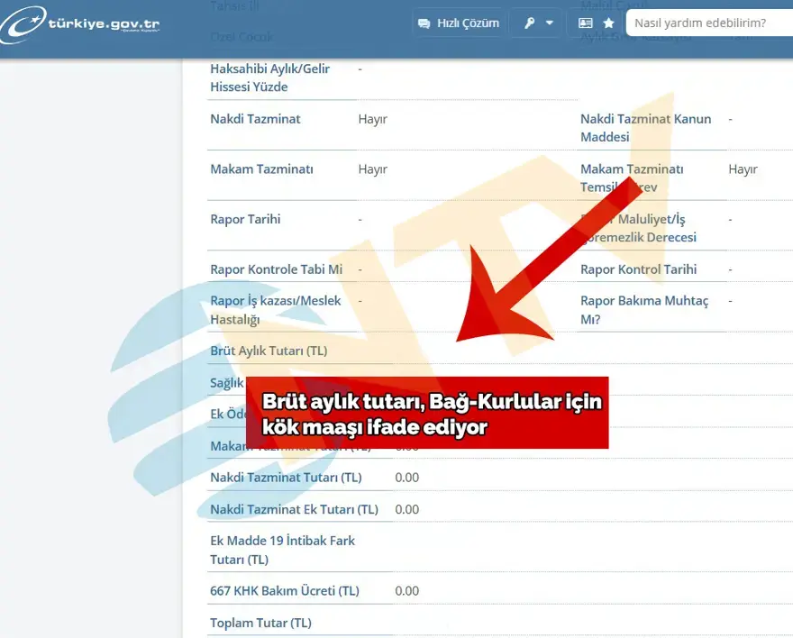 Kök maaşlar değişiyor, milyonlarca emekliyi etkileyecek 6