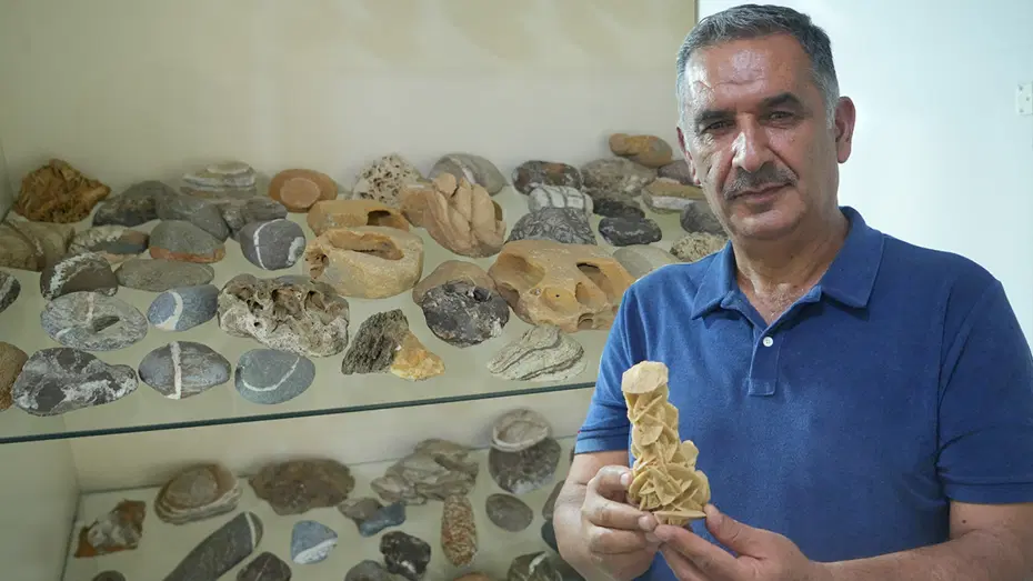 Çobanlık yaparken başladı. 40 yıl boyunca dağ tepe demeden topladı