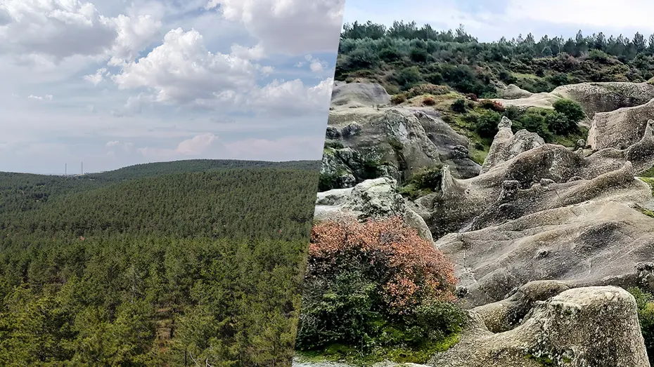 Manisa Akhisar'daki Musalar ve Gaziantep'teki Erikçe tabiat parkı ilan edildi