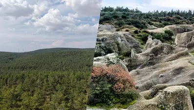 Manisa Akhisar'daki Musalar ve Gaziantep'teki Erikçe tabiat parkı ilan edildi