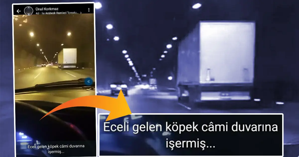 Tahliye olunca WhatsApp'tan tehdit etti yine tutuklandı: "İsrail'i kastetmiştim"