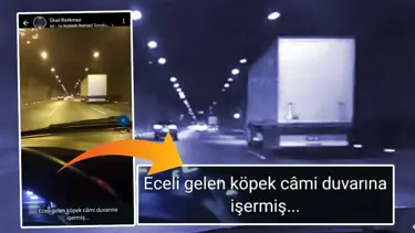 Tahliye olunca WhatsApp'tan tehdit etti yine tutuklandı: "İsrail'i kastetmiştim"