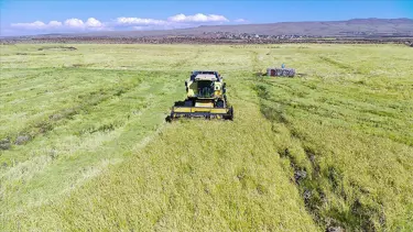 Çiftçilere 1 milyar 623 milyon lira tarımsal destek ödemesi yapıldı