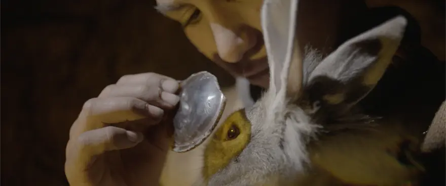 TAVŞAN İMPARATORLUĞU 2