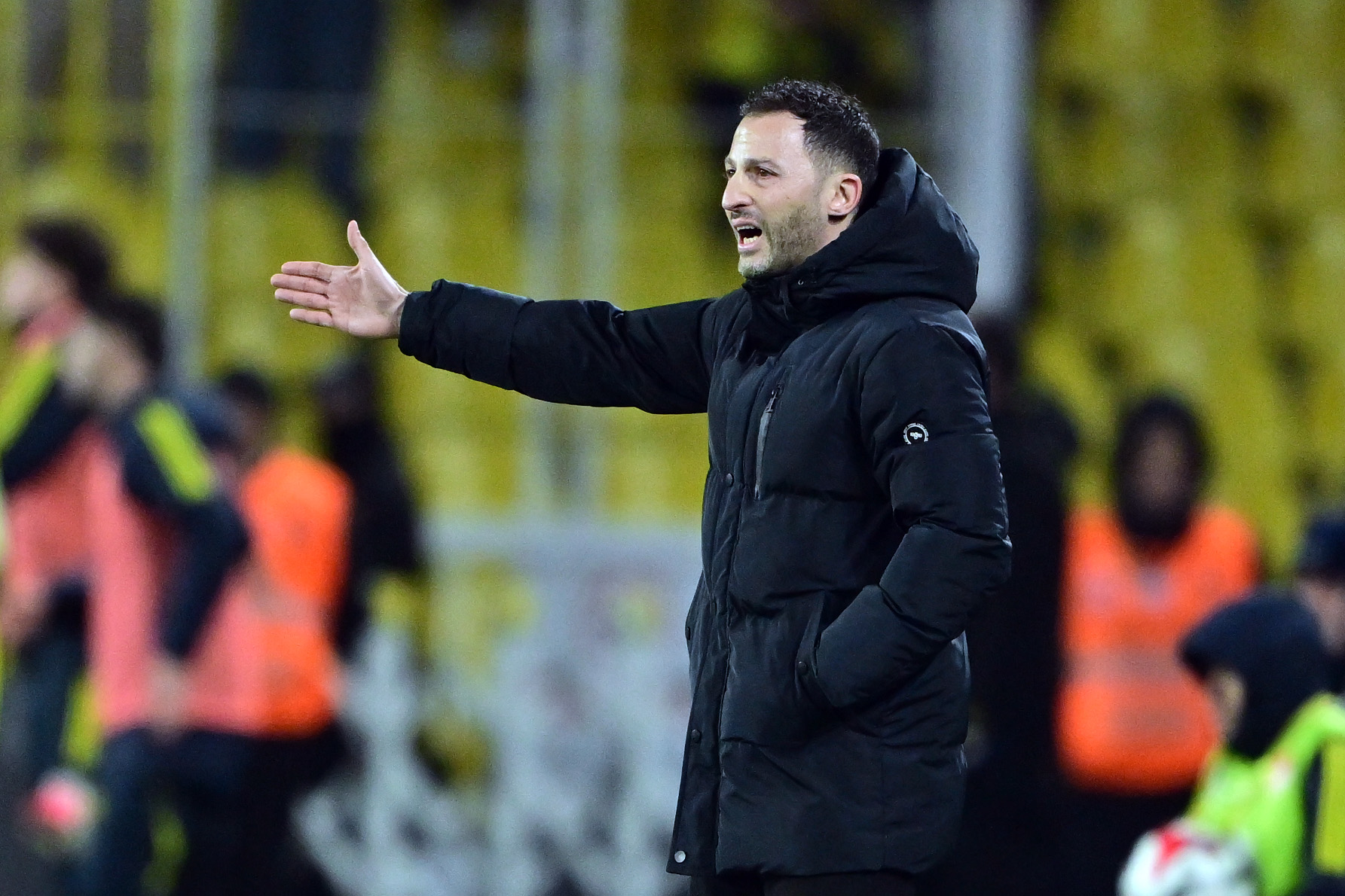 Fenerbahçe Teknik Direktörü Domenico Tedesco: Bugün ben bile oynasam, bizim ceza sahasında gol atabilirdim