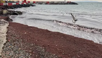 Tekirdağ'da sahiller kıpkırmızı oldu