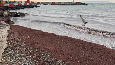 Tekirdağ'da sahiller kıpkırmızı oldu
